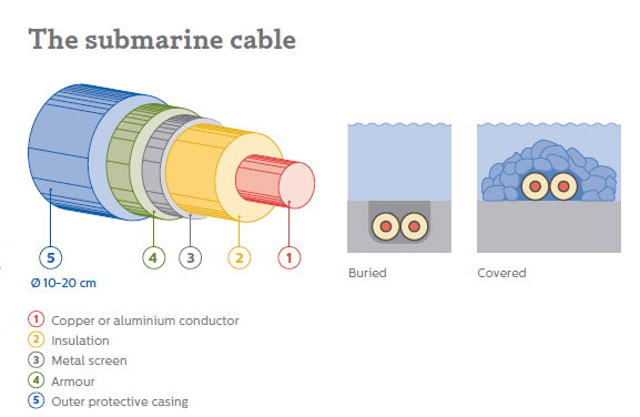 The submarine cable